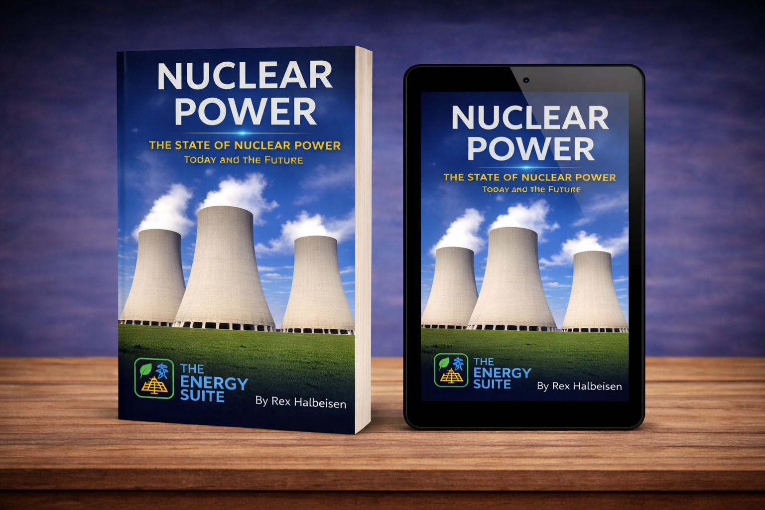 Nuclear Power: The State of the Industry book cover